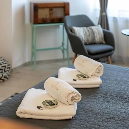 Polai Boutique With Free Parking Apartment